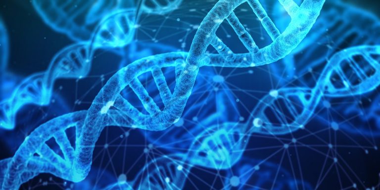 A DNS-ből kiderül az egyes fajok átlagos élettartama, az emberé is
