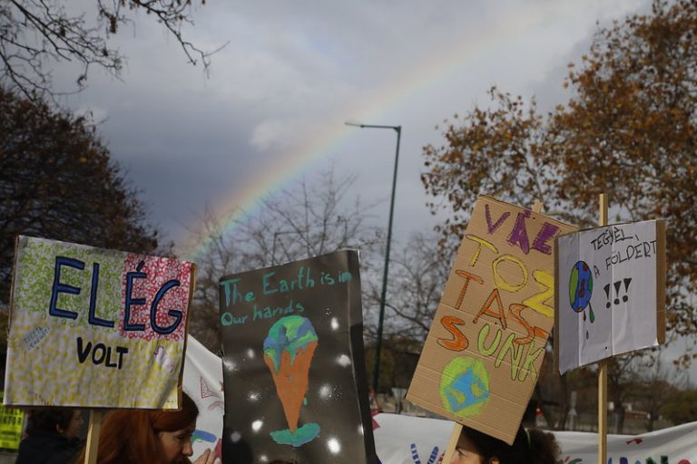 Így zárult a Greenapeace környezetvédelemmel kapcsolatos felmérése Magyarországon