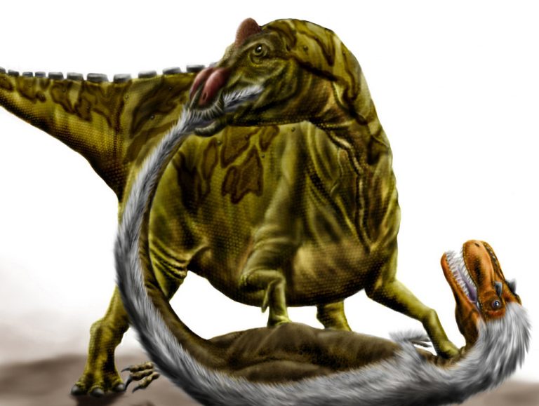 A világ első épen megőrződött dinoszaurusz-szövetei és sejtszerkezete