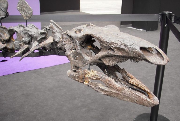 Dinoszauruszok Skóciában