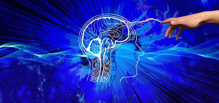 Magyar kutatók leltek rá az intelligenciáért felelős agyterületre