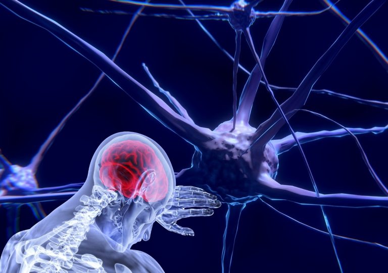 Magyar fejlesztésű stroke-hálózat segíti a betegek gyógyulását