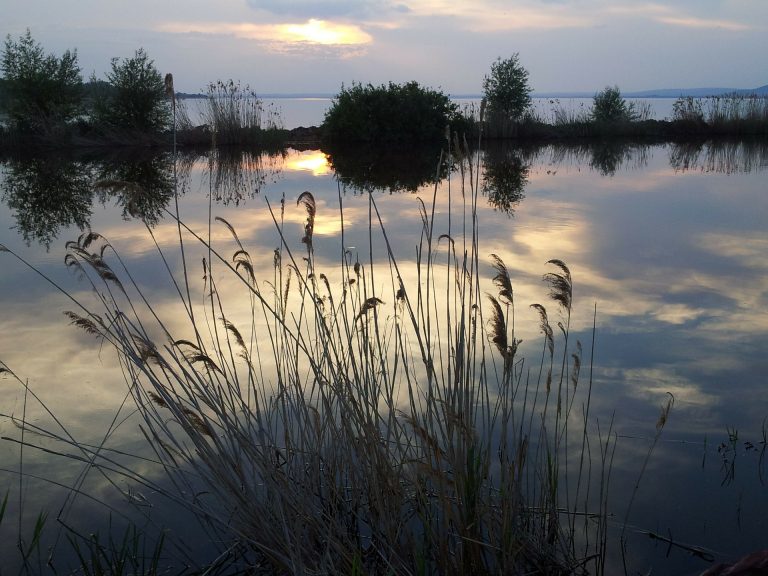 Így alakult az idei nyár a Balatonon a látogatók mozgása szerint