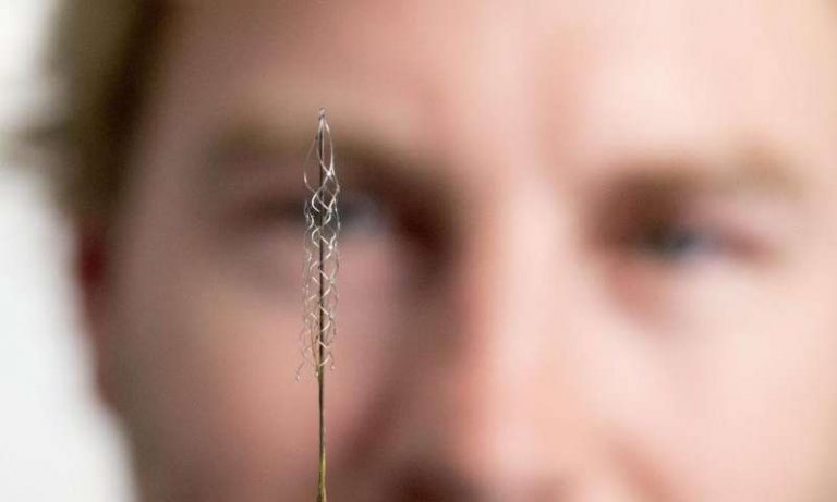 A gondolataikkal kezelhetik a számítógépet a mozgásképtelen emberek egy új agyi implantátum segítségével