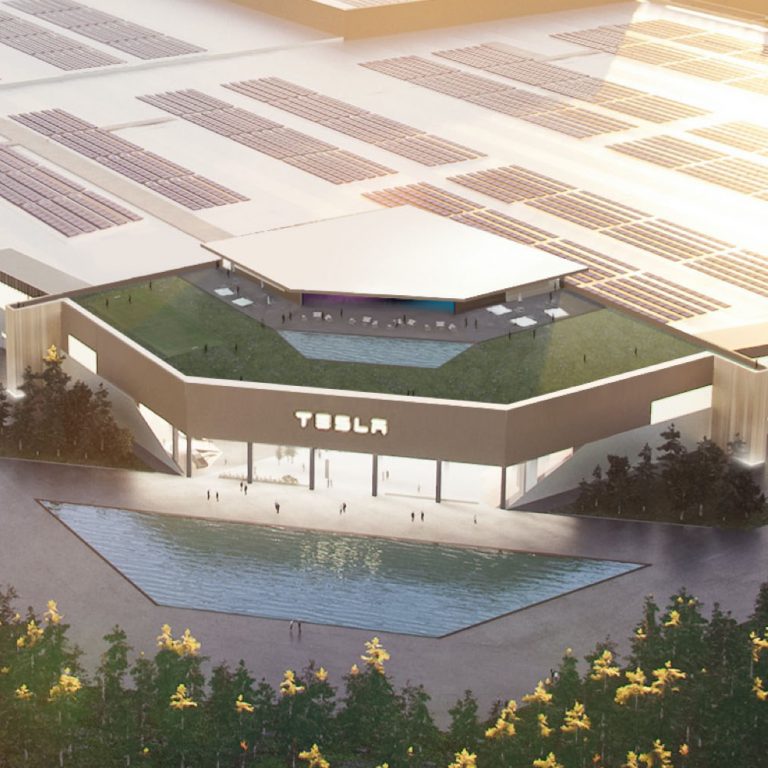 Téli álmot alvó siklók miatt állt meg a német Tesla-gyár építése