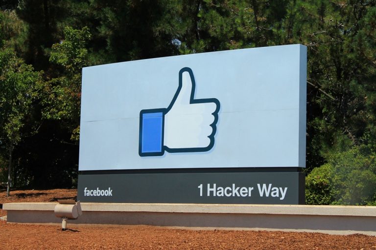Illegálisan birtokolt amazóniai esőerdődarabok lepték el a Facebook Marketplace-t