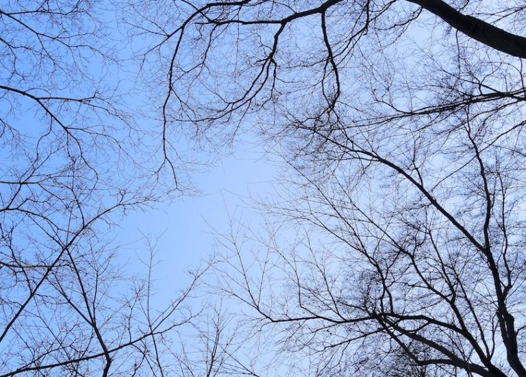 Elképzelhető, hogy az Univerzum egy hatalmas neurális hálózat