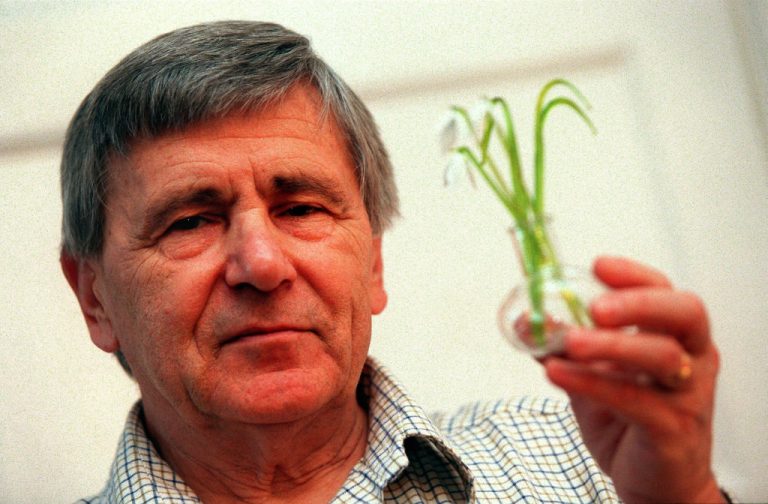 Magyar tudós bejelentése robbantotta ki a világ első génmódosított-élelmiszer botrányát, és a GMO vihar azóta sem ült el
