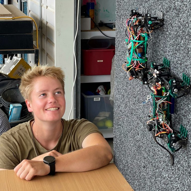 A falra is felmászik az ausztrál robotgyík
