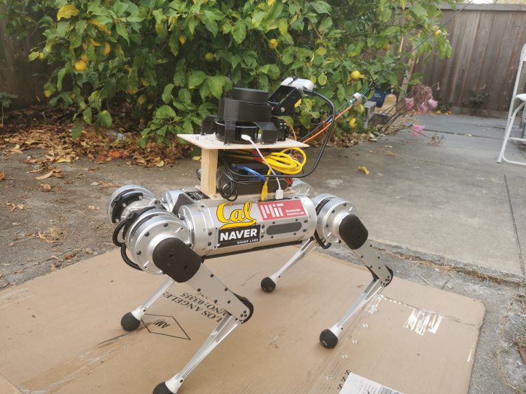 Jönnek az első vakvezető robotkutyák