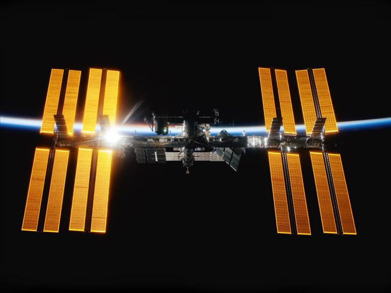 A NASA rendkívül intelligensnek tartott tengeri fajt juttat a nemzetközi űrállomásra