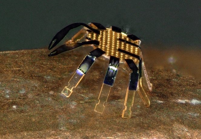 Ez az aprócska robotrák lehet a jövő sebészorvosa