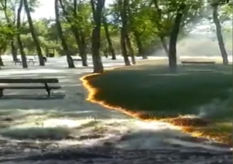 Hogy történt? – Végigszaladt a láng egy parkon, de nem égett el semmi