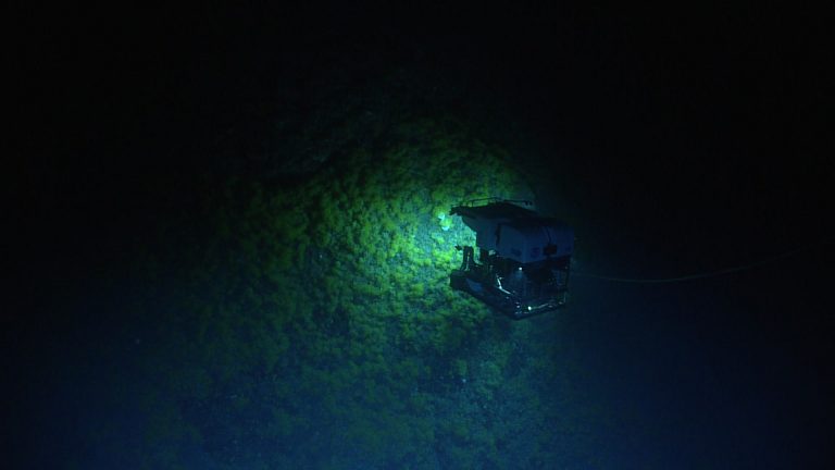 Mintha mesterséges lenne – különös, szabályos mintázatot talált a NOAA expedíciója az óceáni aljzaton