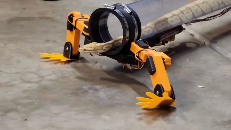 Exoszkeletont épített a youtuber egy kígyónak, hogy „visszaadja a lábait”