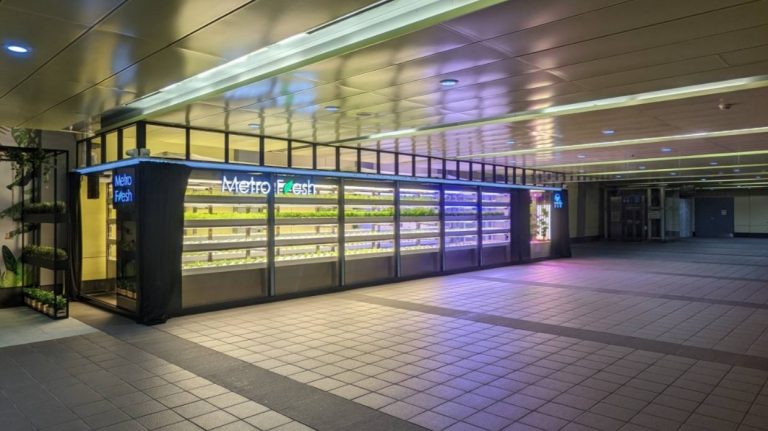 A metróállomás nem csak közlekedésre való, high-tech salátát is lehet termeszteni benne