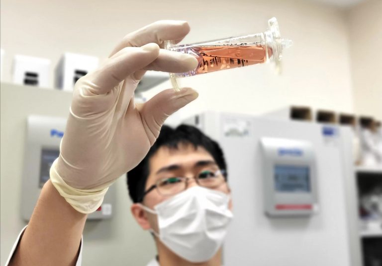 Kezdetleges, de működő emberi belek növekednek a bioreaktorokban