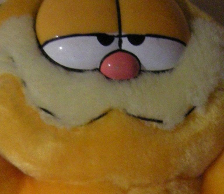 A partokon folyamatosan felbukkanó Garfield-telefonok rejtélyét egy helyi gazda oldotta meg