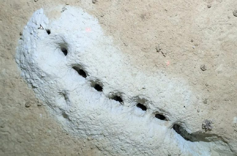 Kiderült, mi okozhat ilyen mesterségesnek tűnő, szabályos mintázatot az óceánok alján