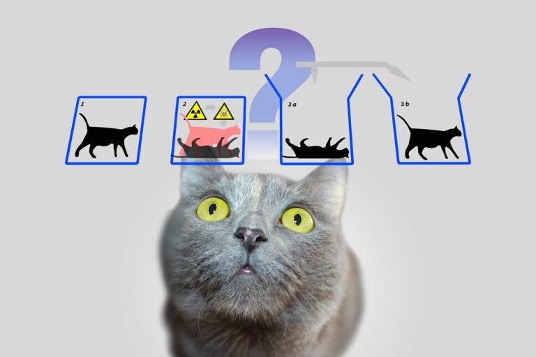 Schrödinger macskája - a híres gondolatkísérlet új formát öltött