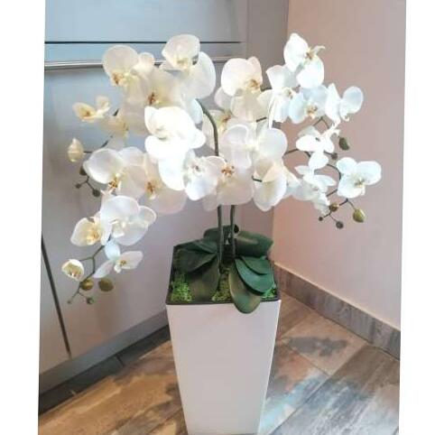 Műorchideák az otthon tükrében: a stílus és a praktikum találkozása